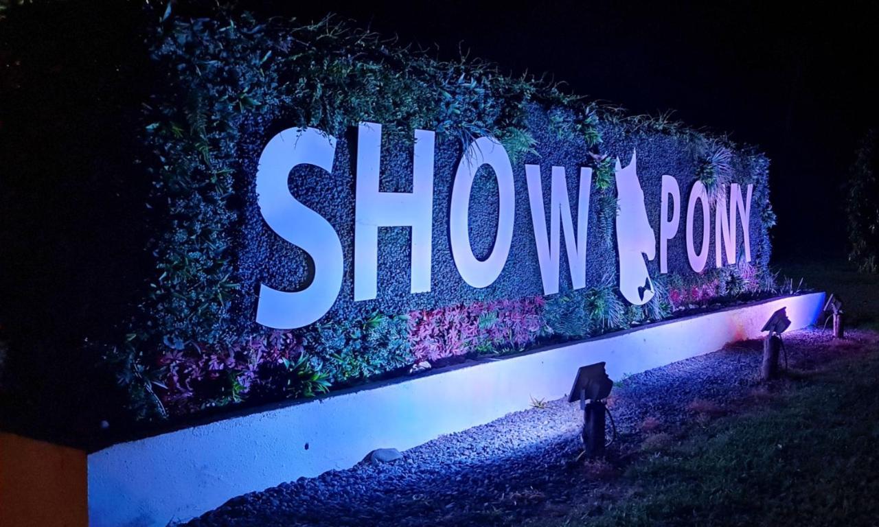 Show Pony Beach Resort And Suites Las Lajas  Exterior foto